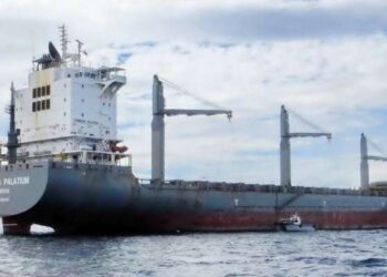 Les Houthis attaquent deux navires en mer Rouge