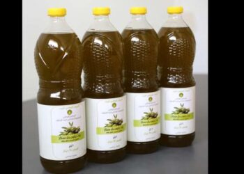 Tunisie : L'huile d’olive à 15 dinars à partir d'aujourd'hui