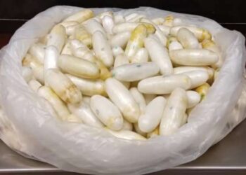 Tunisie : 750 grammes de cocaïne saisis à l’aéroport Tunis-Carthage