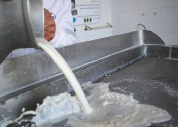 Tunisie : Le dénouement de la crise du lait prévu dans deux semaines