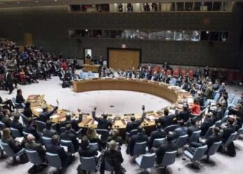Véto : Les Etats-Unis bloquent l'appel à un cessez-le-feu humanitaire à Gaza