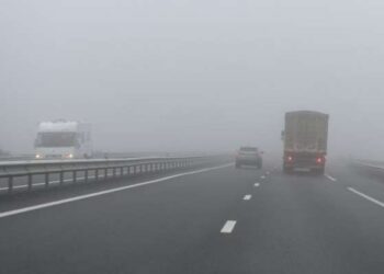 Brouillard