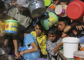 La moitié de la population de Gaza souffre de faim extrême ou sévère