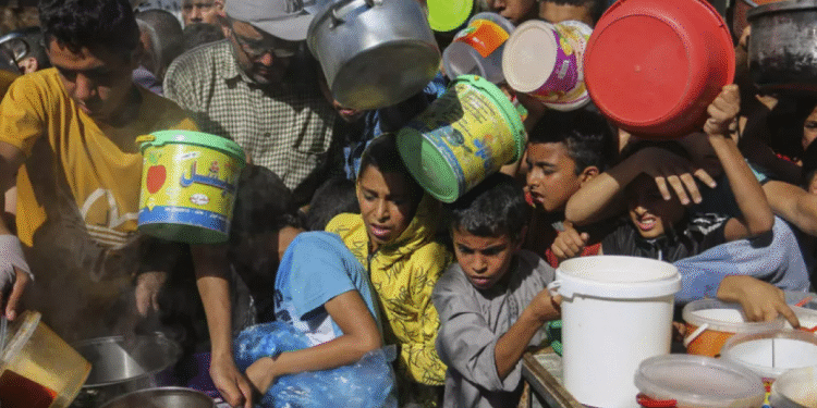 La moitié de la population de Gaza souffre de faim extrême ou sévère