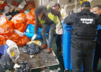 Saisie de six kilogrammes de cocaïne au port de la Goulette
