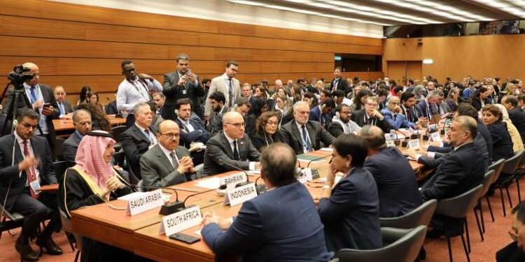 Gaza : A Genève, Ammar lance un appel à la communauté internationale