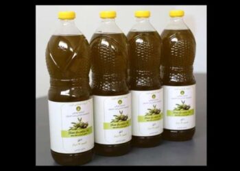Tunisie : Production attendue de 210 mille tonnes d'huile d'olive