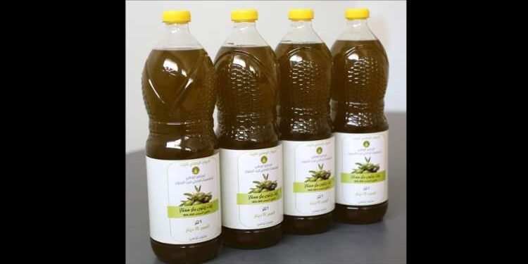 Tunisie : Production attendue de 210 mille tonnes d'huile d'olive