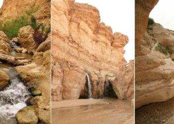 Dans les oasis de montagne du sud-ouest tunisien