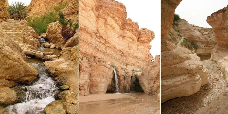 Dans les oasis de montagne du sud-ouest tunisien