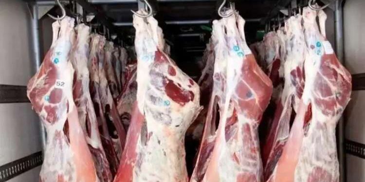 Tunisie - Ramadan : Viande congelée disponible à 35 dinars