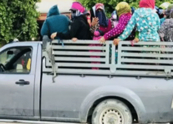 Bizerte : 36 blessés dans un accident impliquant des ouvriers agricoles