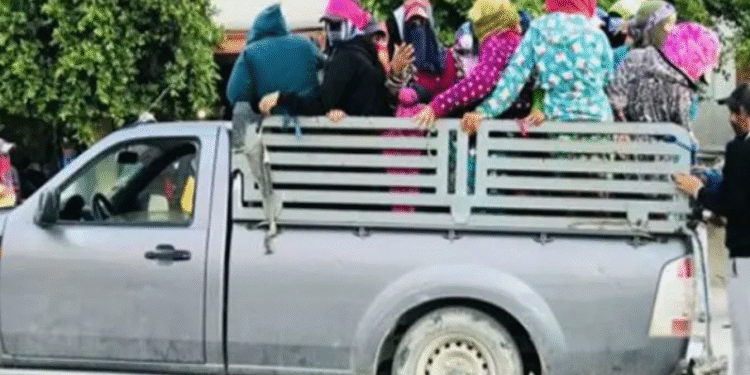 Bizerte : 36 blessés dans un accident impliquant des ouvriers agricoles
