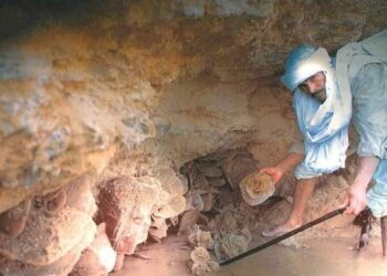 Roses des sables : Fleurs pétrifiées, aberrantes et énigmatiques