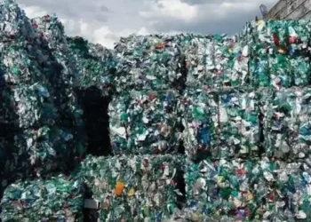 déchets