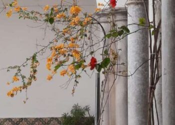 A l'ombre de Sidi Saber et Saint Joseph