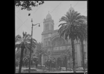 Histoire : Quand il a neigé sur la Tunisie