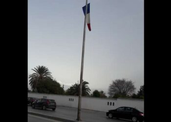 La France, Carnot, ma mère et moi