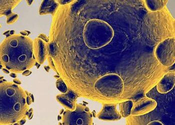 Coronavirus : Le nouveau variant JN.1 fait son apparition en Tunisie