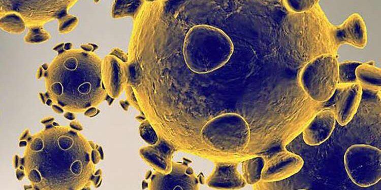 Coronavirus : Le nouveau variant JN.1 fait son apparition en Tunisie
