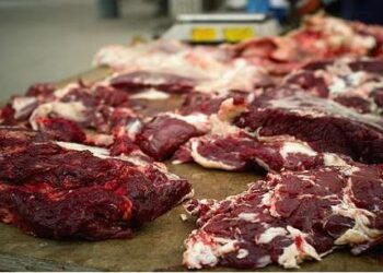 Face à la cherté de la vie, les Tunisiens se rabattent sur la viande d’âne et de cheval