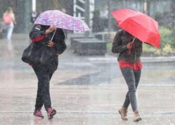 Tunisie - Pluviométrie : Les pluies ont arrosé le pays