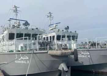 Le Japon fait don de deux navires de surveillance de pêche à la Tunisie