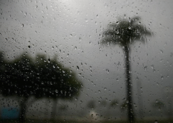 Tunisie - Météo : Pluies et baisse des températures