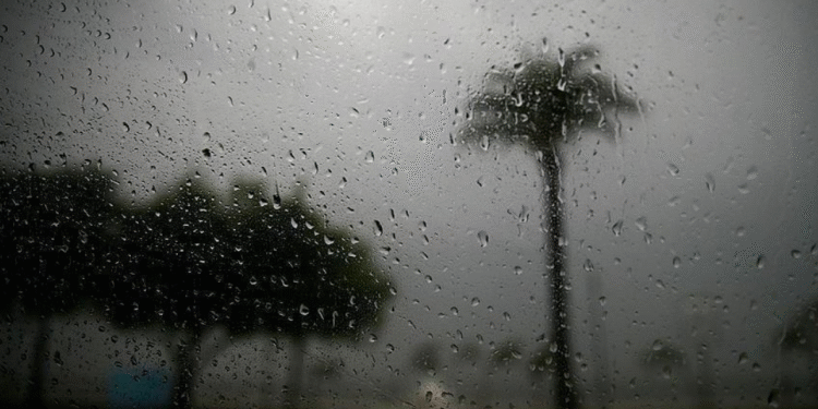 Tunisie - Météo : Pluies et baisse des températures