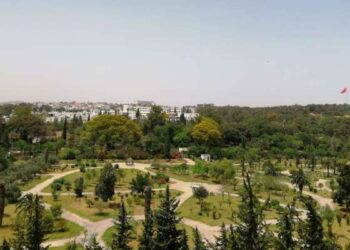 Sauvegarde du Parc du Belvédère : Appel urgent à Kais Saied