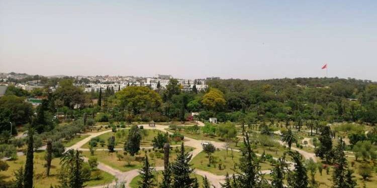 Sauvegarde du Parc du Belvédère : Appel urgent à Kais Saied