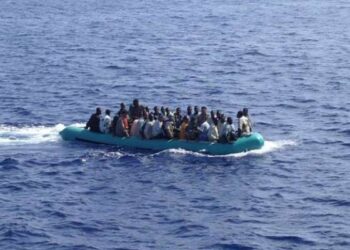 migration