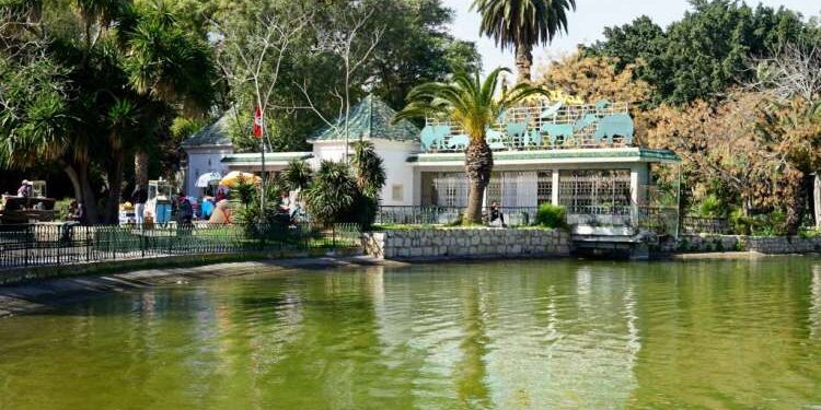 Tunis : Le parc zoologique du Belvédère se refait une beauté