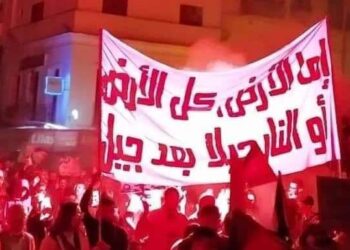 A Tunis, manifestation de solidarité avec les Palestiniens et la Terre palestinienne