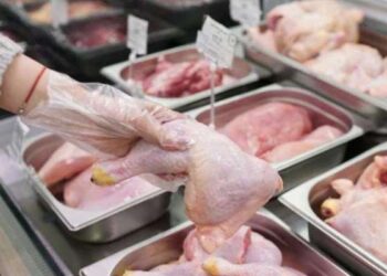 Tunisie : Plafonnement et baisse du prix de la volaille au mois de Ramadan