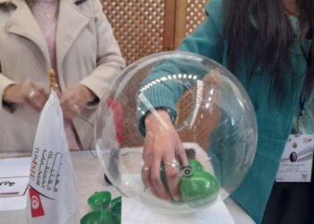 Tunisie : Tirage au sort pour la sélection des membres des conseils régionaux
