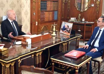 Exploitation des terres domaniales : Saied appelle à une nouvelle législation