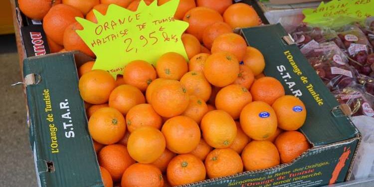 Tunisie : 22 MD de recettes d’exportations pour les agrumes