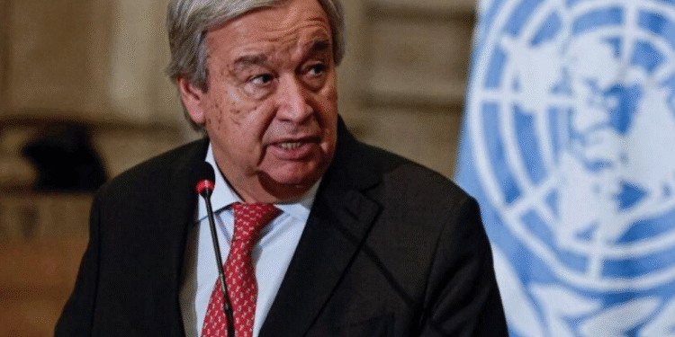 Violences sexuelles à Gaza : Israël rappelle son ambassadeur auprès de l'ONU