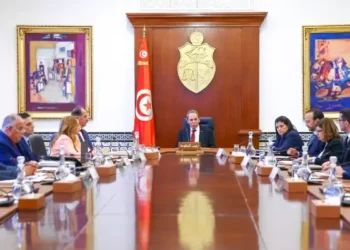 Tunisie : La CIN et le passeport biométriques dès le premier semestre de  2025