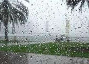 Tunisie : Pluies attendues et températures en légère hausse