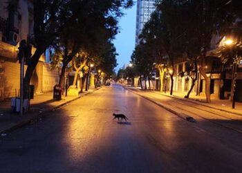 Tunisie : Vives les vacances !