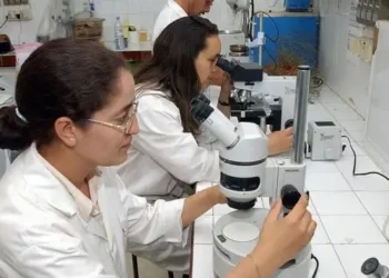 Nombre de chercheurs par pays : La Tunisie classée 2ème à l’échelle arabe