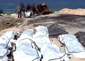 Migration irrégulière : Dix-neuf corps repêchés au large des côtes tunisiennes