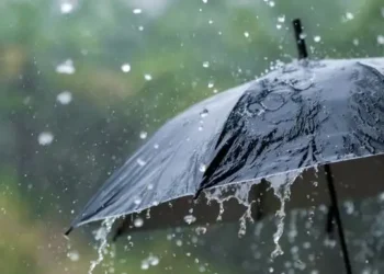 Tunisie : Six gouvernorats concernés par des pluies abondantes