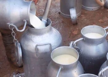 Tunisie : 84 personnes intoxiquées au lait à Djerba
