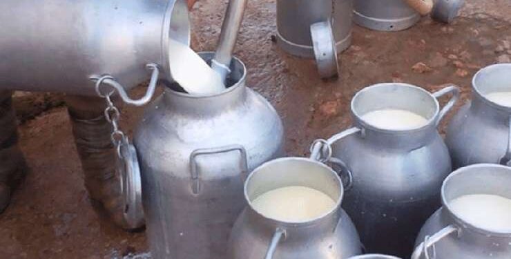 Tunisie : 84 personnes intoxiquées au lait à Djerba