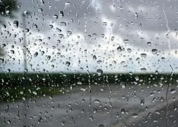 Tunisie – Météo : La pluie est de retour
