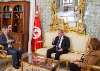 Tunisie : Pour stimuler la croissance, Hachani veut impliquer les banques