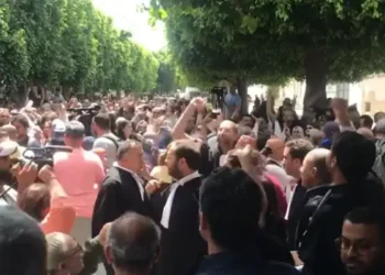 Tunisie : Mobilisation massive des avocats devant le Palais de justice de Tunis
